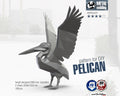 Pelican! Weld it yourself with Digital plan for metal. Set of digital files include .pdf – scheme, .dxf – CNC cutting.